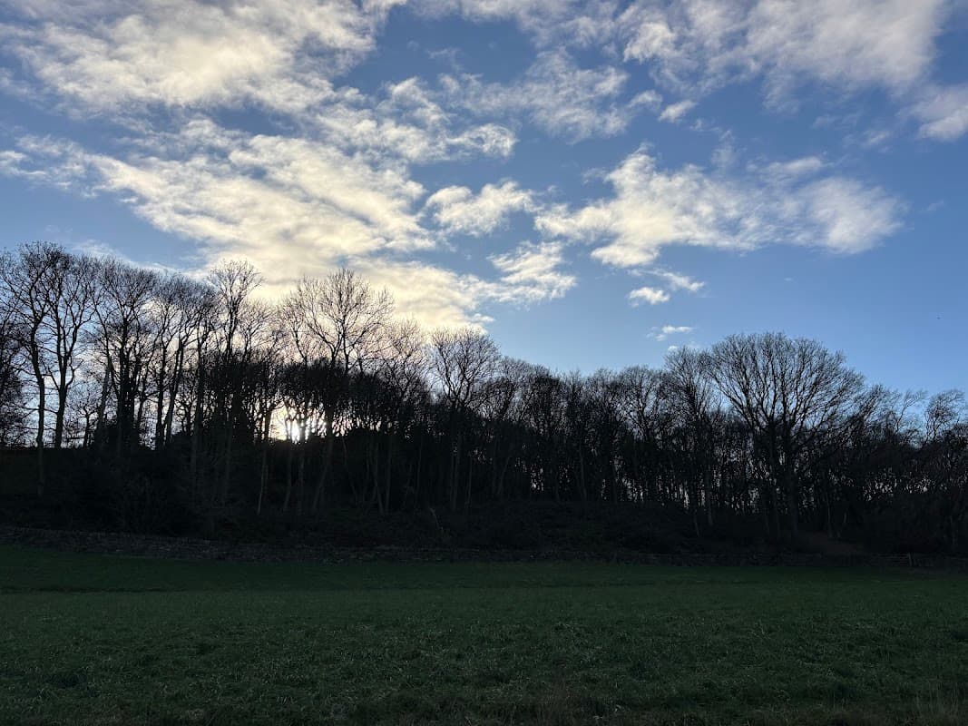 Newhall Wood - Park in mirfield