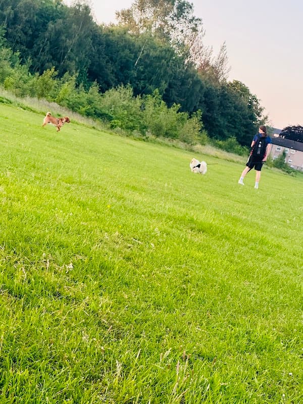 King Alfred's Field - Park in moortown