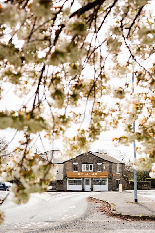 RAY OF GINGER - Hair Salons in moortown