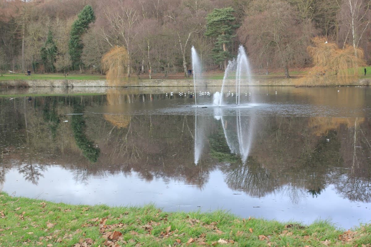 A serene lake with a fountain, surrounded by trees and reflections on the water's surface in Roundhay Park.