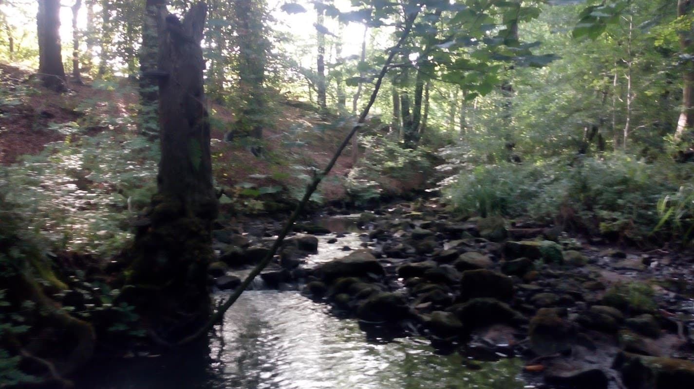 Sandy Lobby - Historic Site in moortown