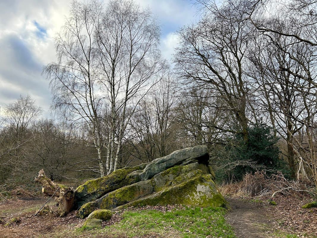 The Buck Stone - Historic Site in moortown