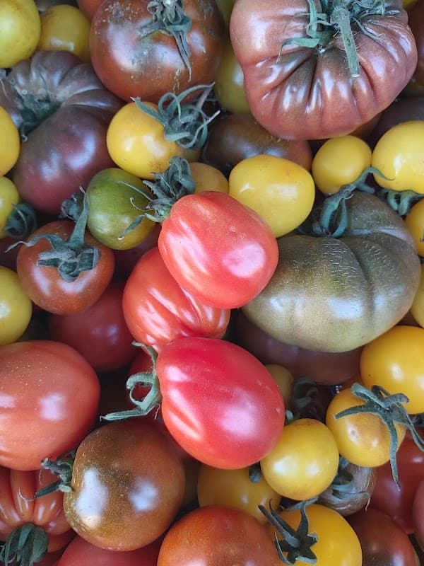 The Fruit Stall - Greengrocers in moortown