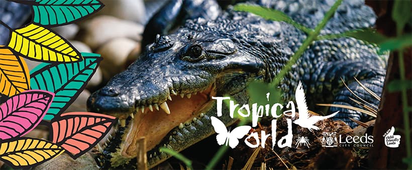 Tropical World - Attraction in moortown