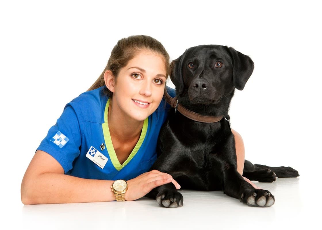 White Cross Vets - Vets in moortown