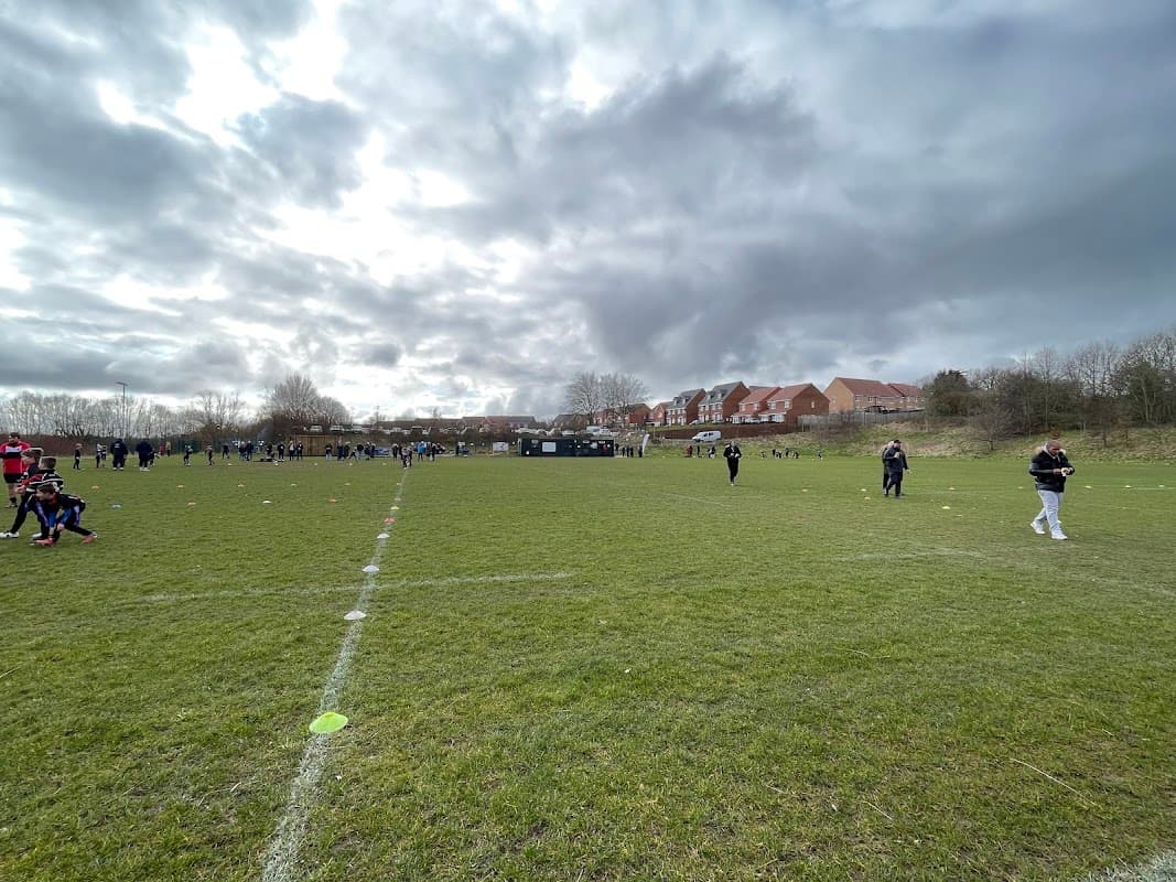 Spectators in a grassy field with rugby pitch markings, surrounded by houses under a cloudy sky in Mosborough, Yorkshire.