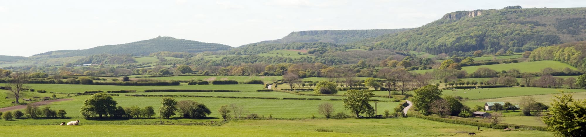 Mount St John Sporting - Activity in boltby