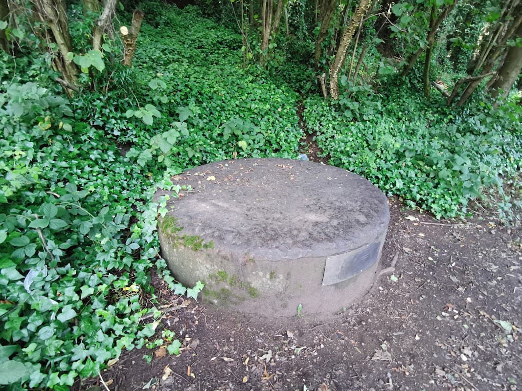 10 Ton Steel Plug Viewing Platform - Viewpoints in neepsend