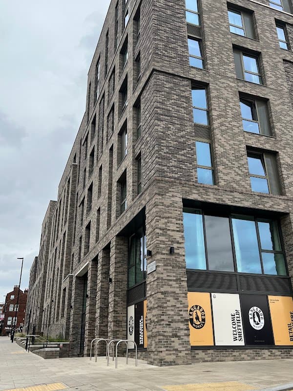 Artful Lodger - Estate Agents in neepsend