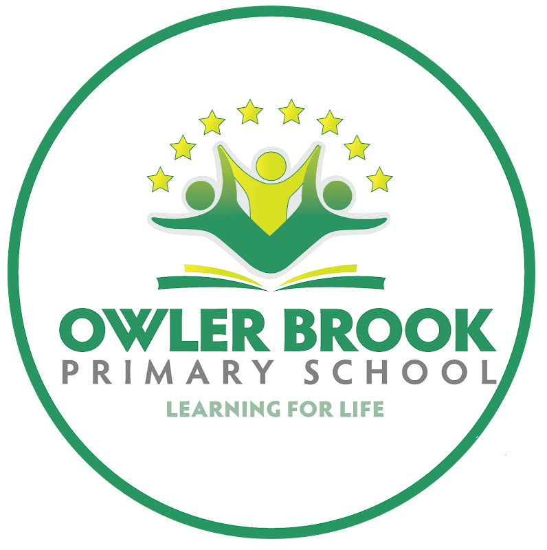 Owler Brook Primary School - Primary Schools in neepsend