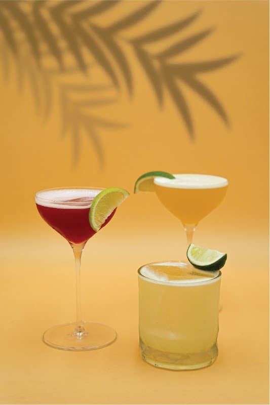 Food & drink at Palm Caribbean Garden Bar in neepsend