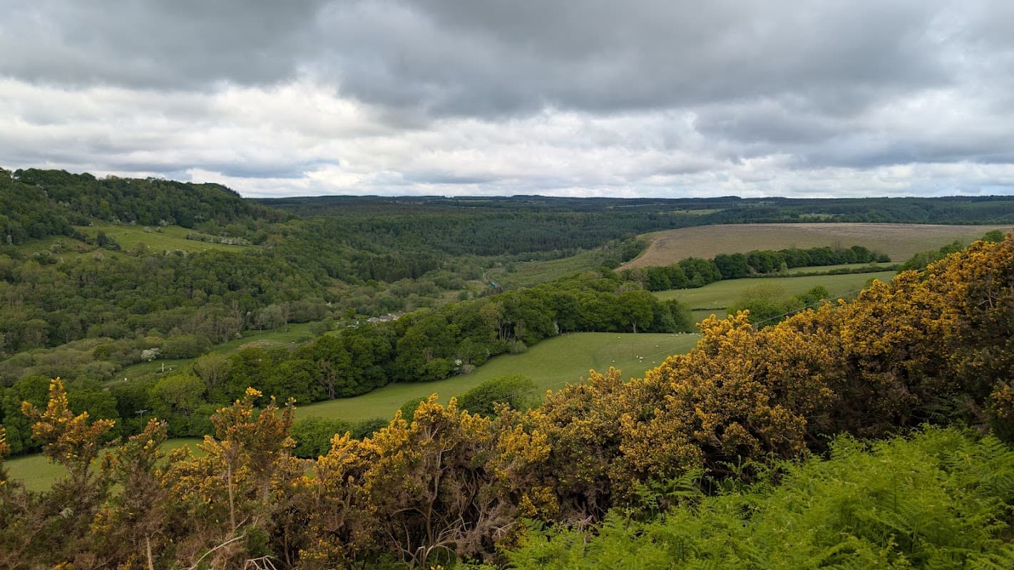 Scenic view of rolling green hills and trees under a cloudy sky, with yellow flowering shrubs in the foreground.