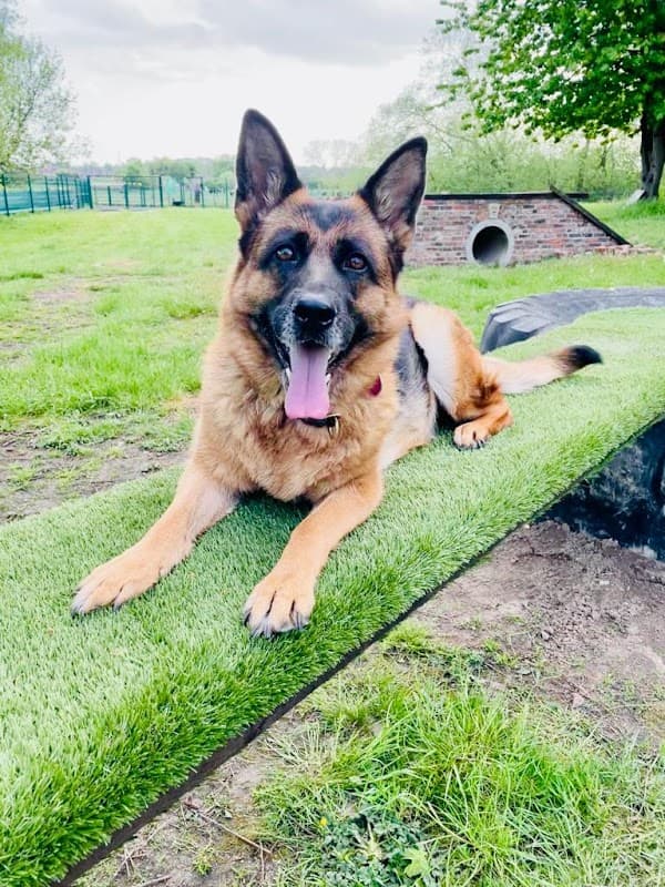 Scentral Park - Park in normanton