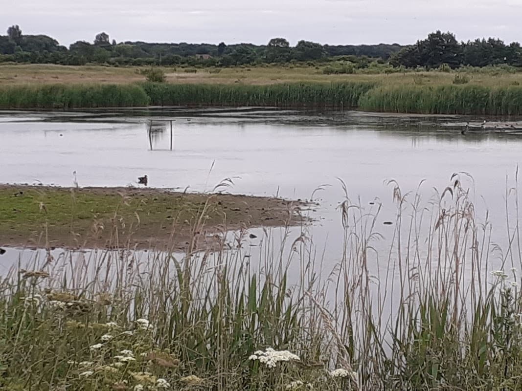 Lush wetlands with calm water, tall grasses, and distant trees under a cloudy sky in North Cave, Yorkshire.