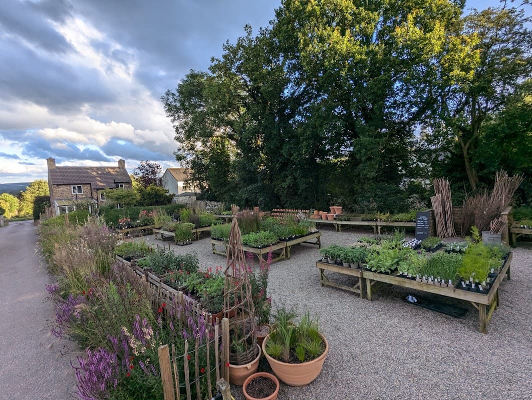 Lush plant displays in wooden beds at Cliff Bank Nursery, with trees and a cloudy sky in the background.