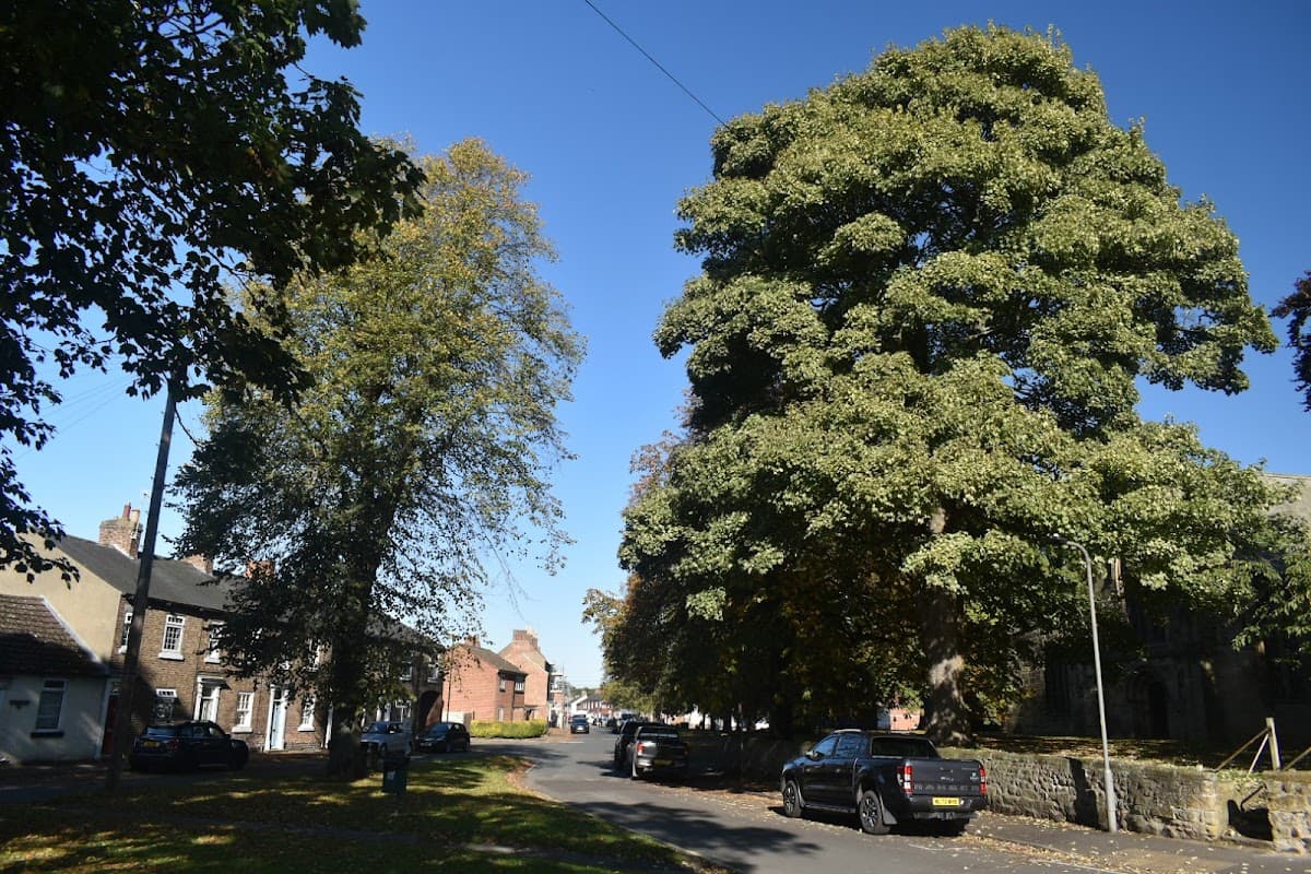The Green - Park in northallerton