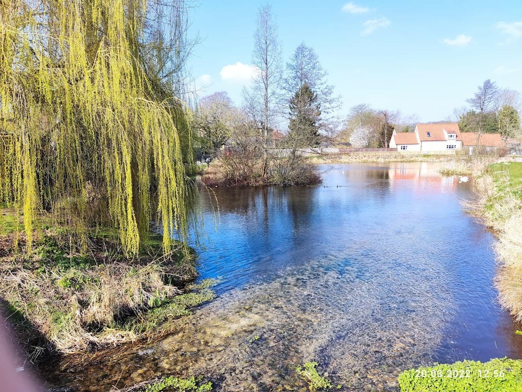 Serene pond surrounded by greenery, trees, and quaint houses under a clear blue sky.