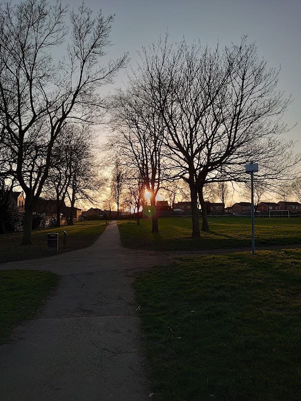Sunset peeking through bare trees along a pathway in Illingworth Park, with grassy areas and houses in the background.