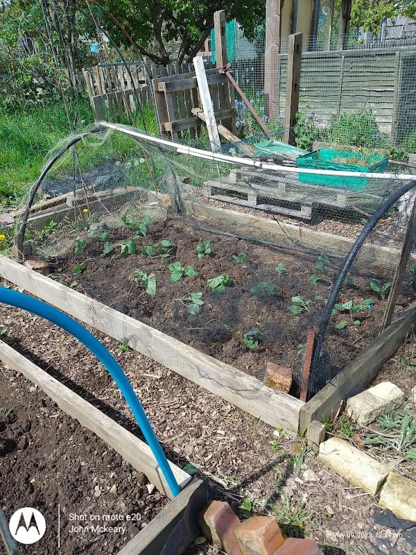 Park Square Allotments - Park in ossett