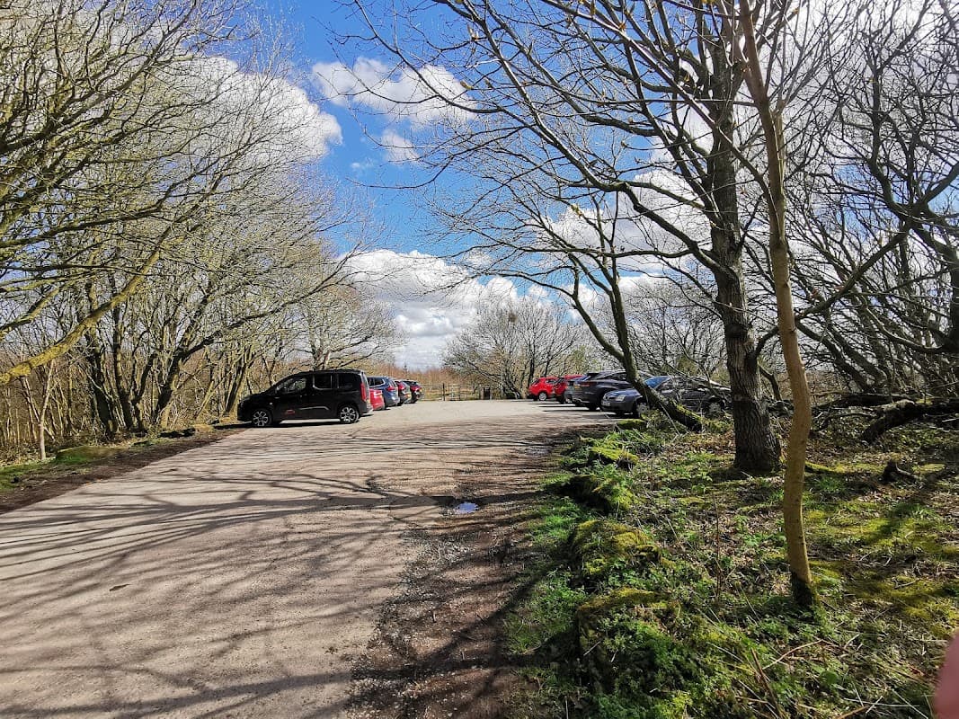 Parking area lined with trees, featuring several cars under a blue sky with scattered clouds.