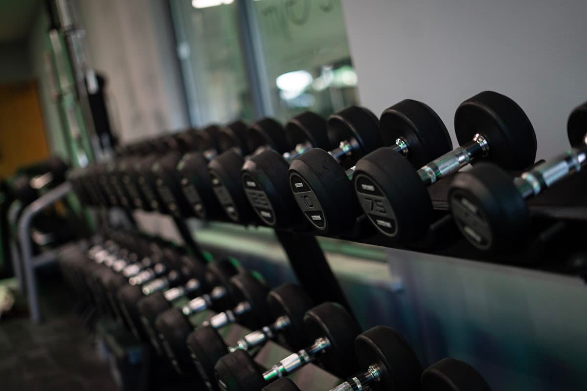 A row of black dumbbells on a rack, showcasing various weights in a modern gym setting.