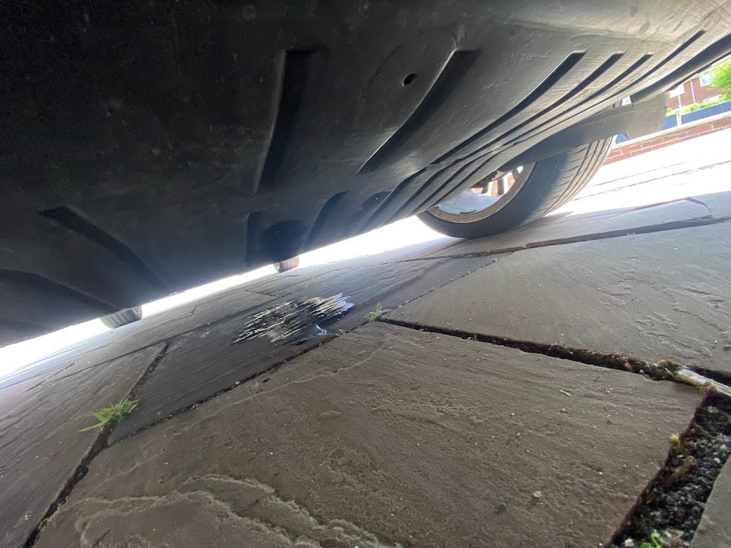 View from beneath a vehicle, showing a puddle on the stone pavement and a tire partially in the frame.