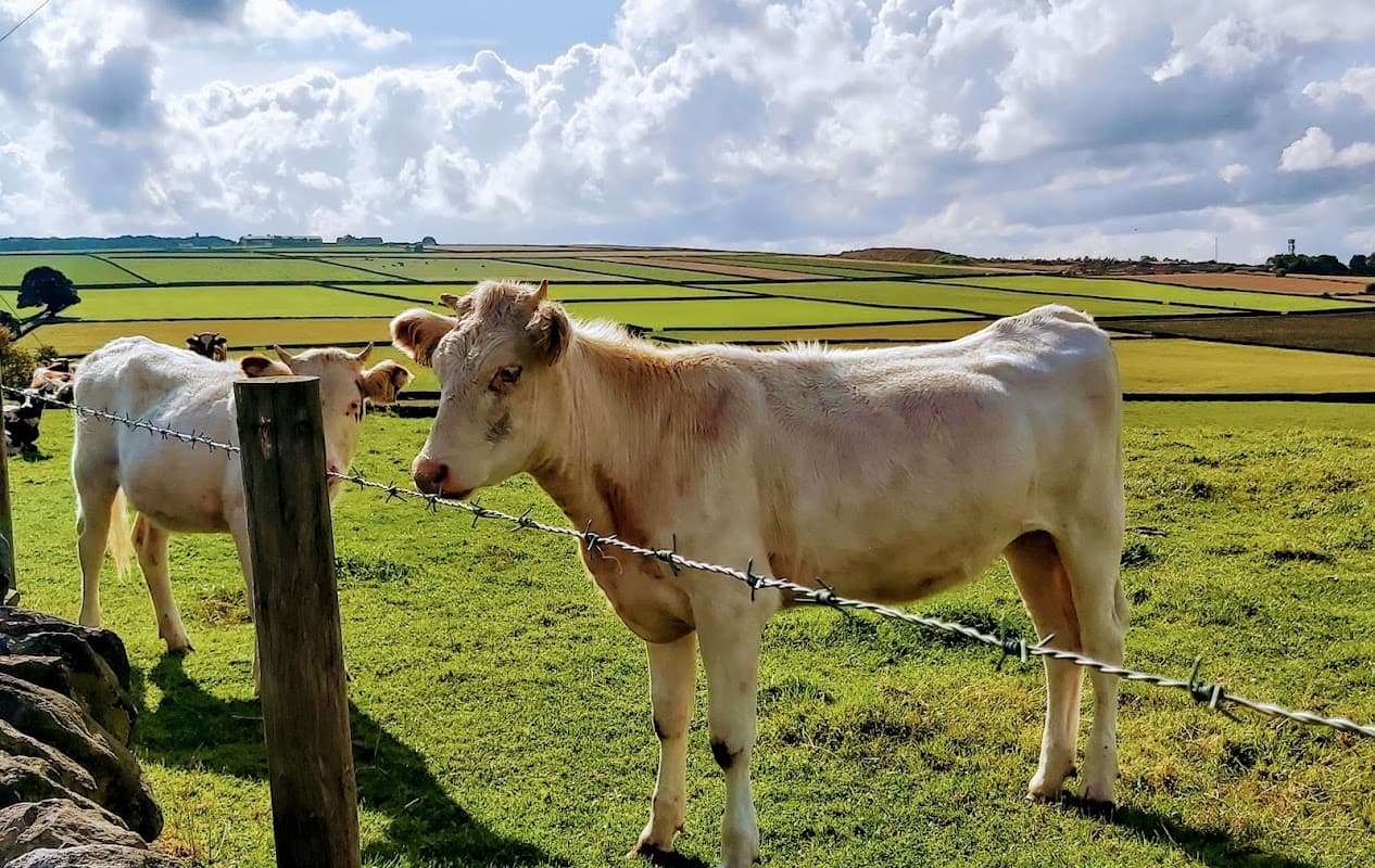 Childs Play Day Nursery - Nurseries in penistone