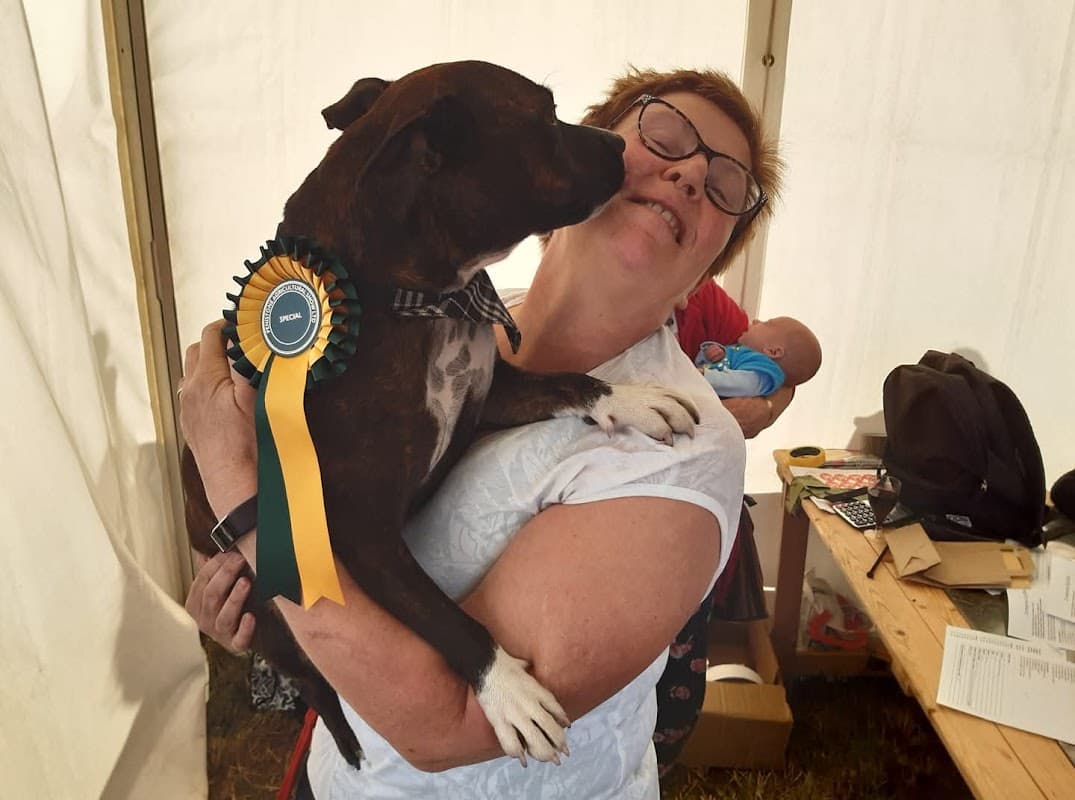 Donaldson's Vets - Vets in penistone