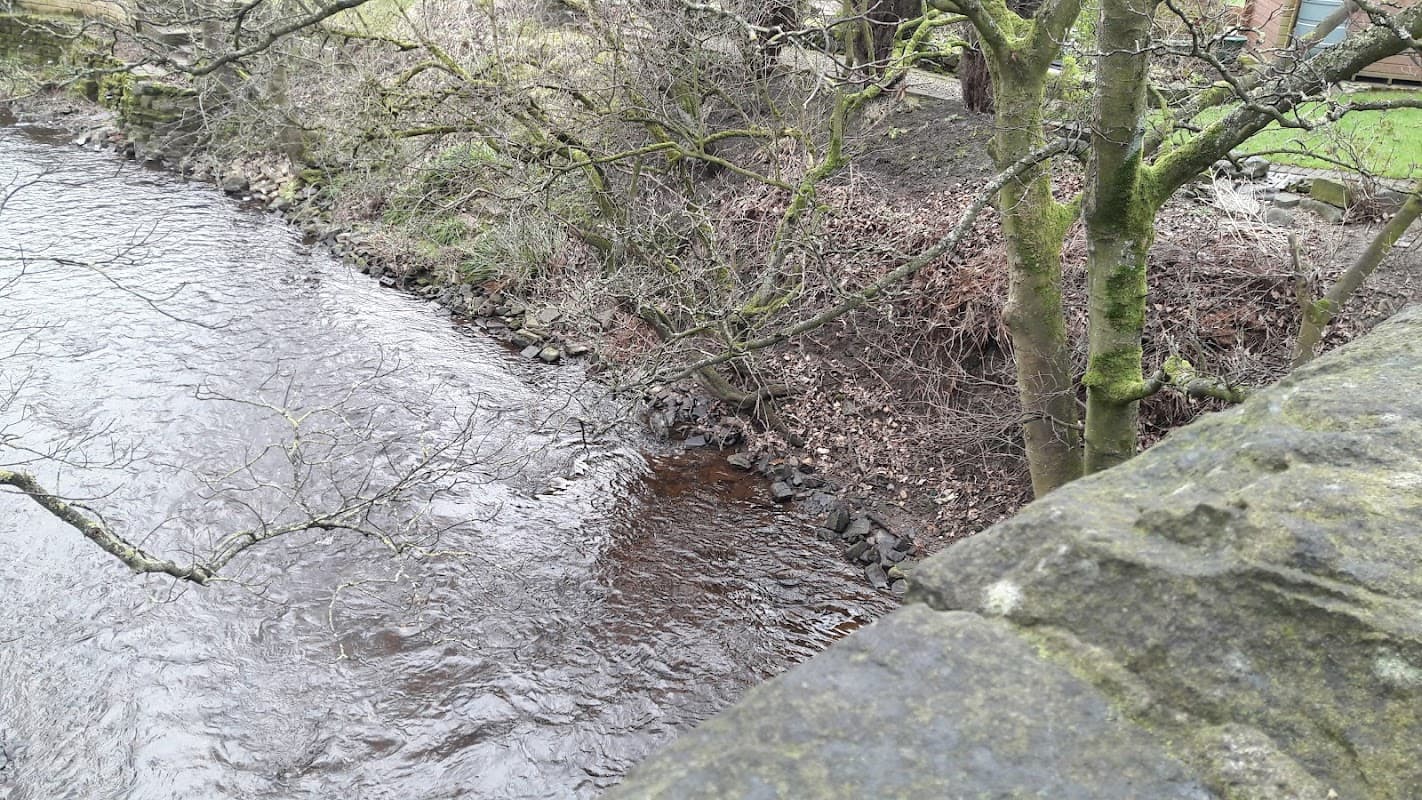 Calm riverbank with flowing water, surrounded by bare trees and dry foliage in a natural setting.