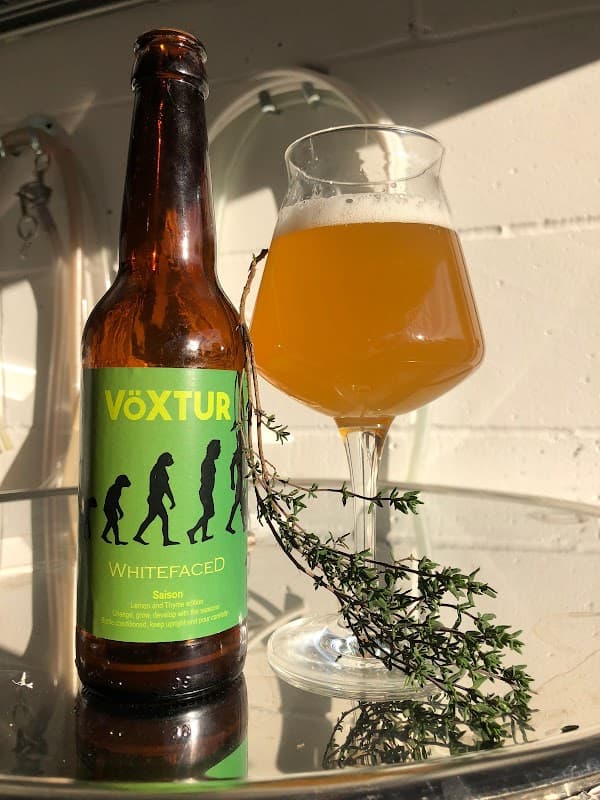 A bottle of Voxtur Whitefaced Saison next to a glass of golden beer and a sprig of thyme on a sunny surface.