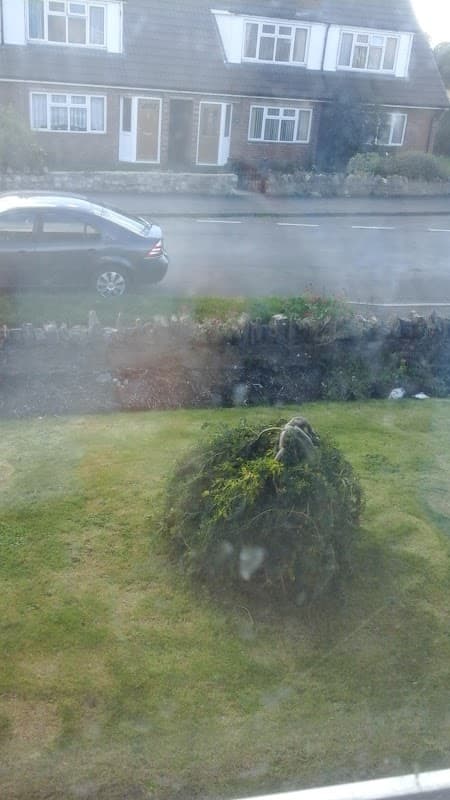 CL Removals & Light Haulage - Removal Companies in pickering