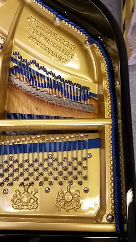 JMD Sports Ltd - Sports Shops in pickering