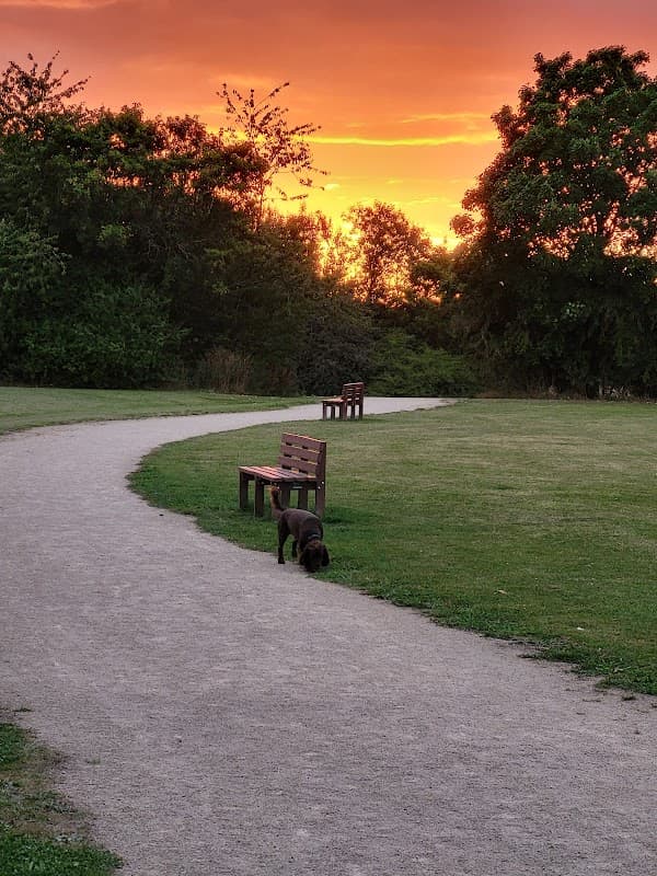 Path winding through a park at sunset, with benches and a dog exploring the grass.