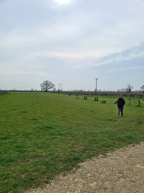 Open grassy field with a child standing near agility equipment and trees in the distance under a cloudy sky.