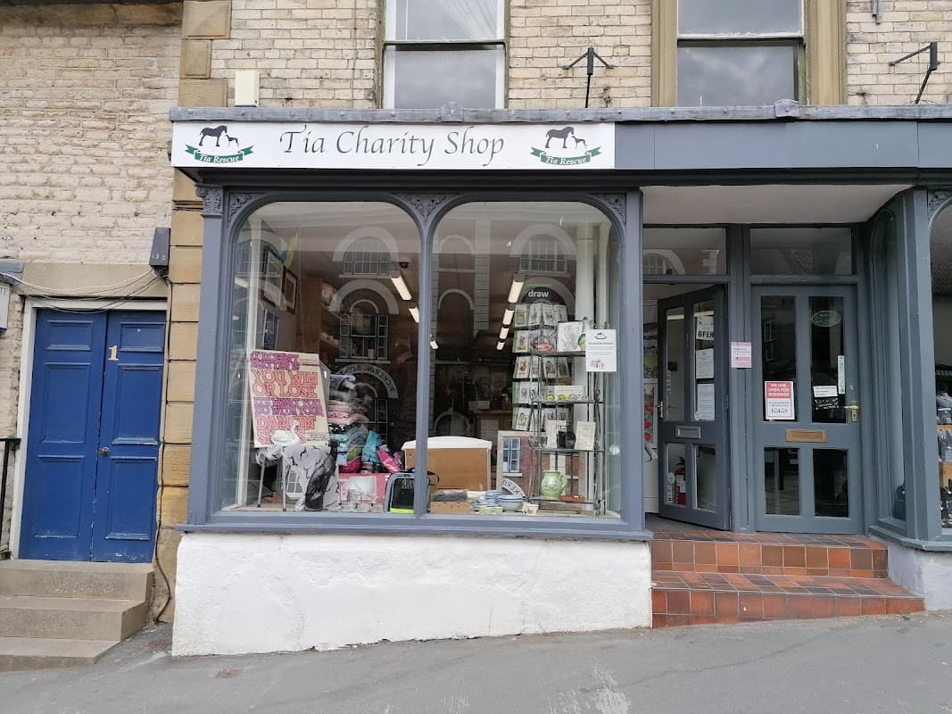 Tia Greyhound Rescue - Discount Stores in pickering