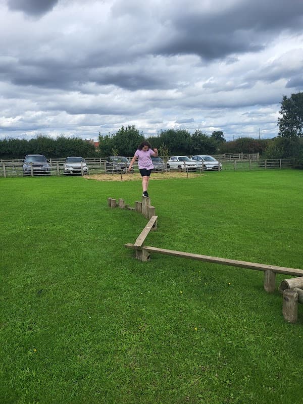 A girl balances on a wooden beam in a grassy field, with cars parked and trees in the background under cloudy skies.