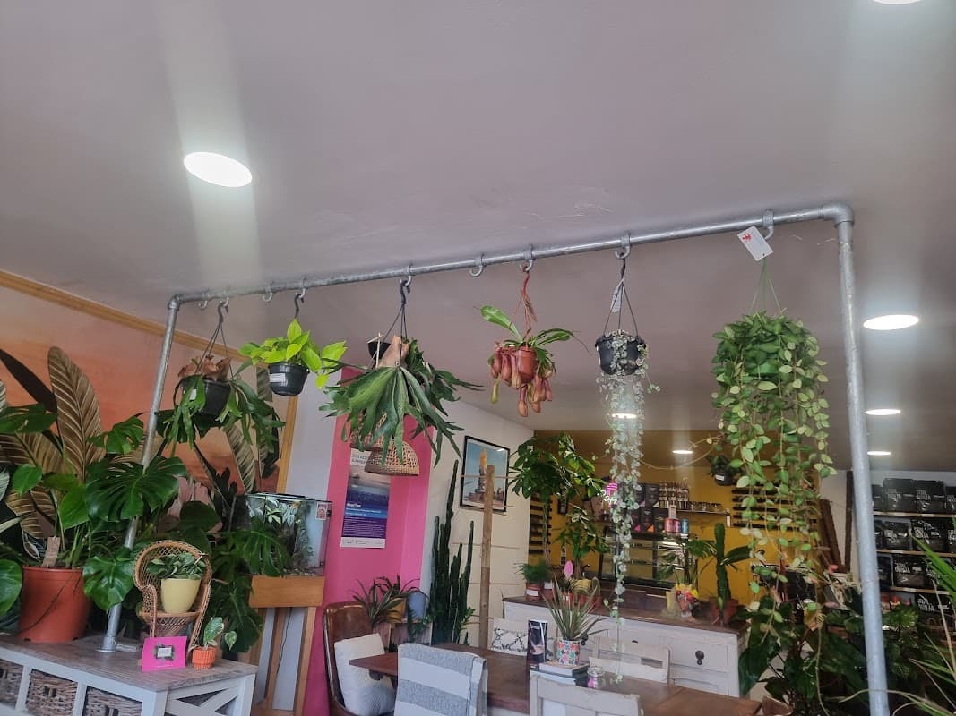 Cafe House of Foliage in redcar