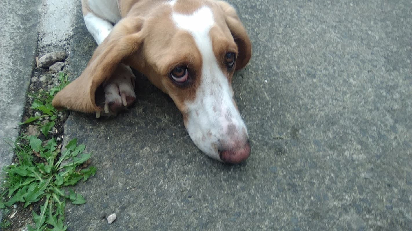 Lakes Primary School - Primary Schools in redcar