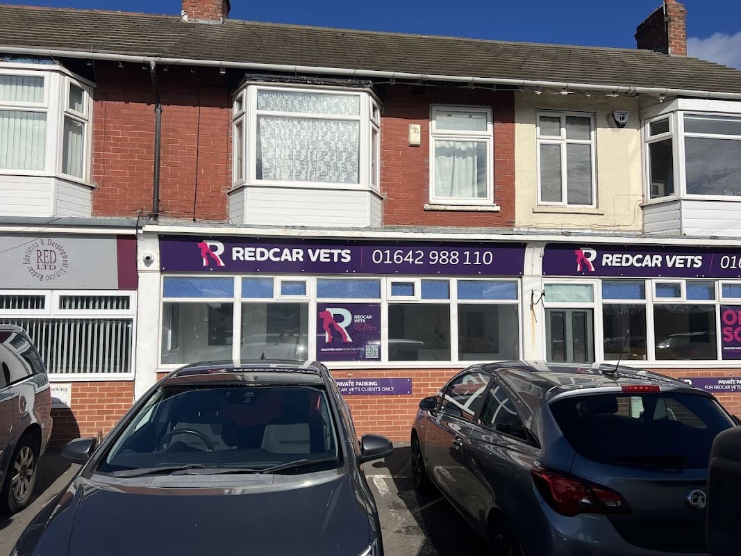 Redcar Vets - Vets in redcar