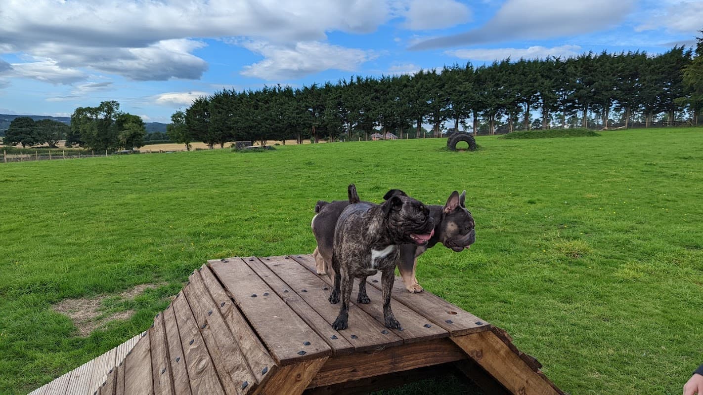 Paddock for Paws Richmond - Park in richmond