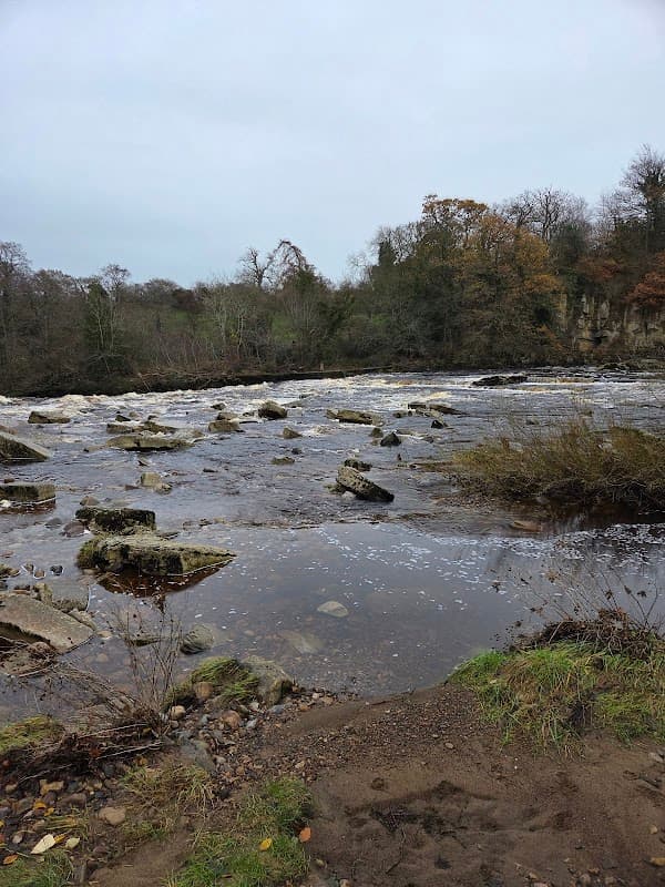 The Batts - Park in richmond