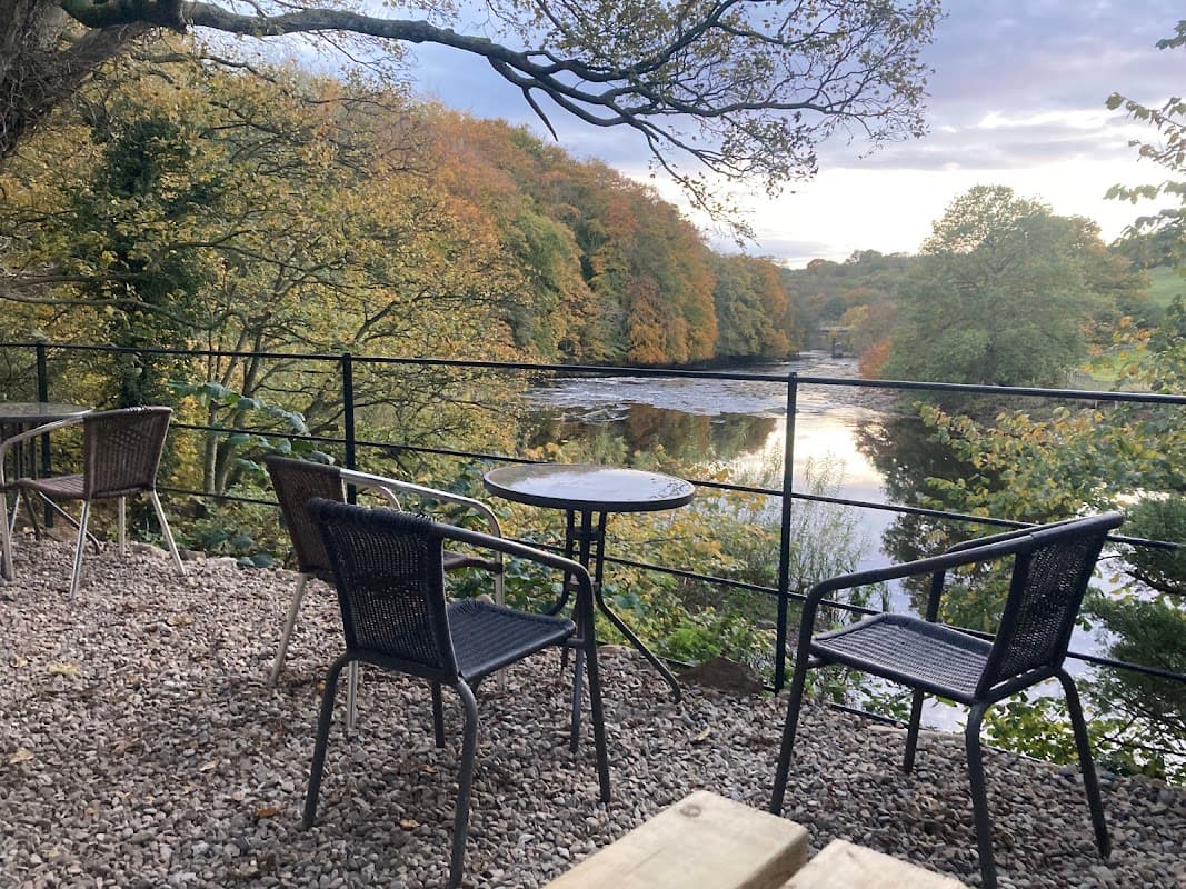 Cafe The Easby-Loop Cafe in richmond