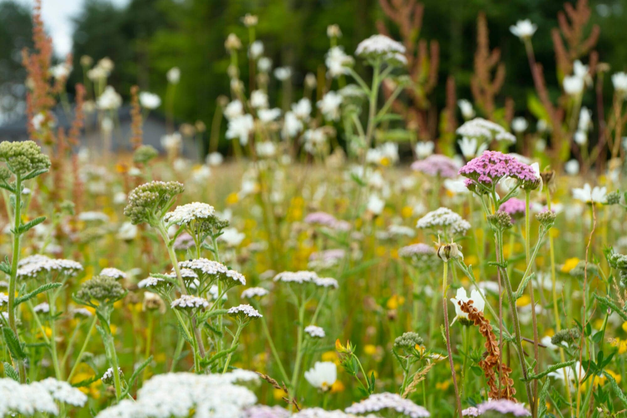 Rideways at Escrick Park Estate - Sports & Leisure in escrick