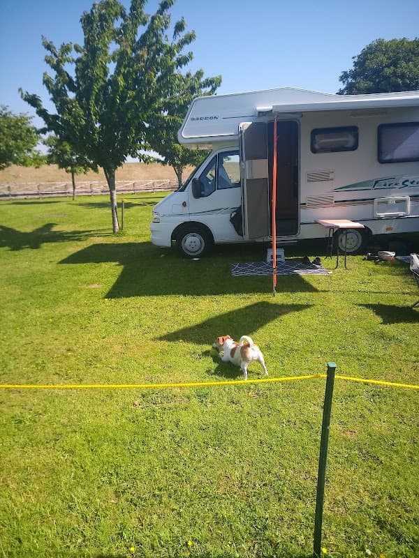 A grassy area with a parked camper van, a table, and a small dog exploring the surroundings under clear blue skies.