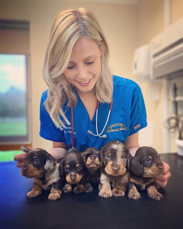 Bishopton Veterinary Group - Vets in ripon