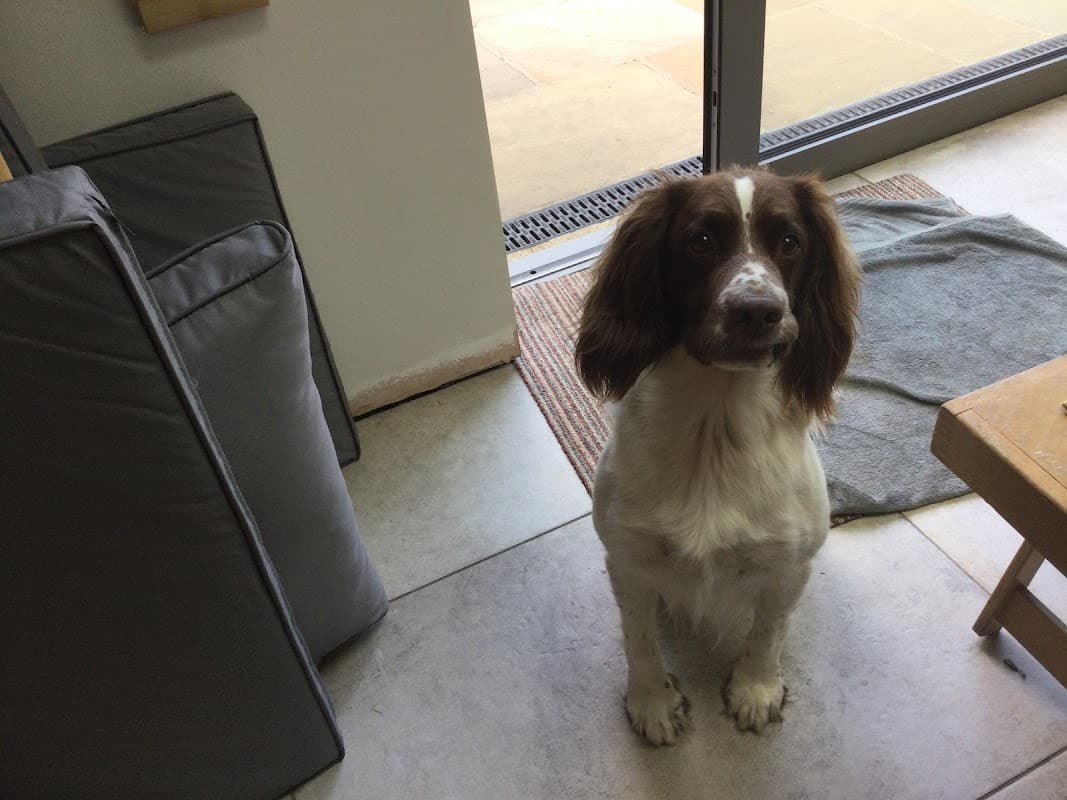 Bridge House Dental Practice - Dentists in ripon