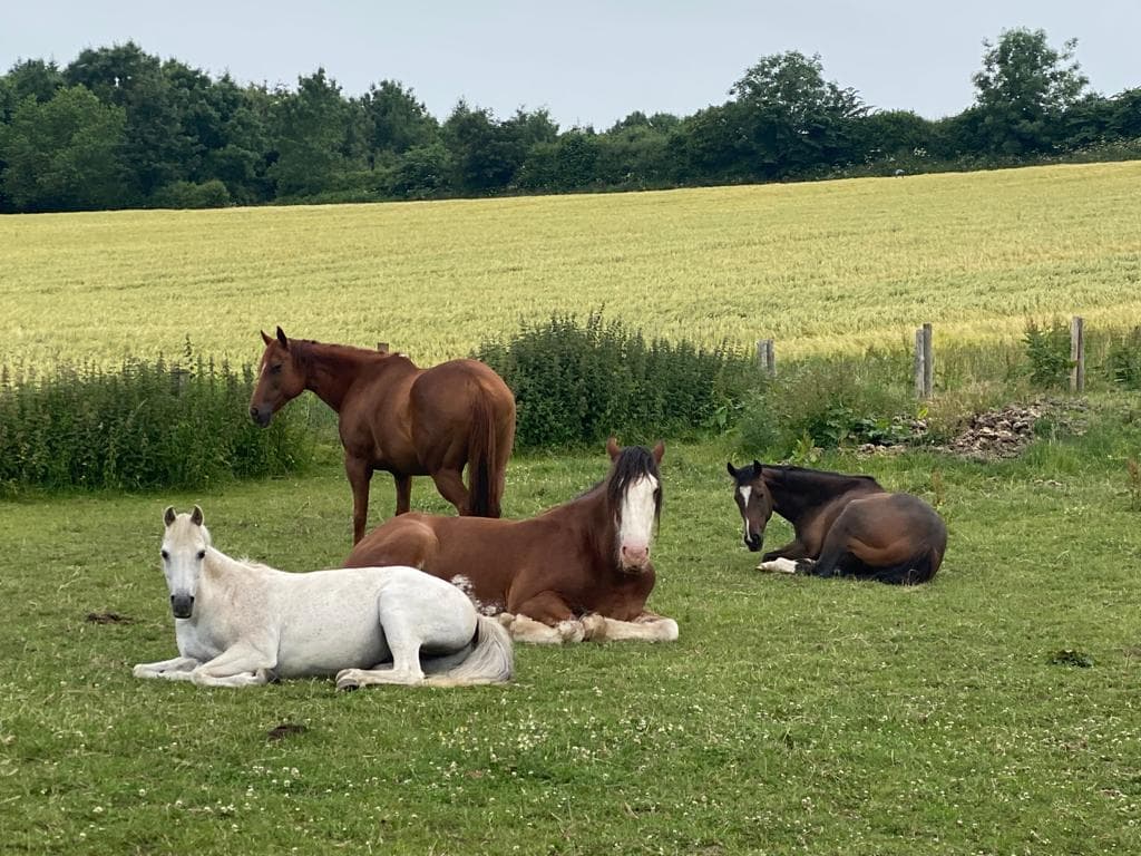Holy Trinity C Of E Junior School - Primary Schools in ripon