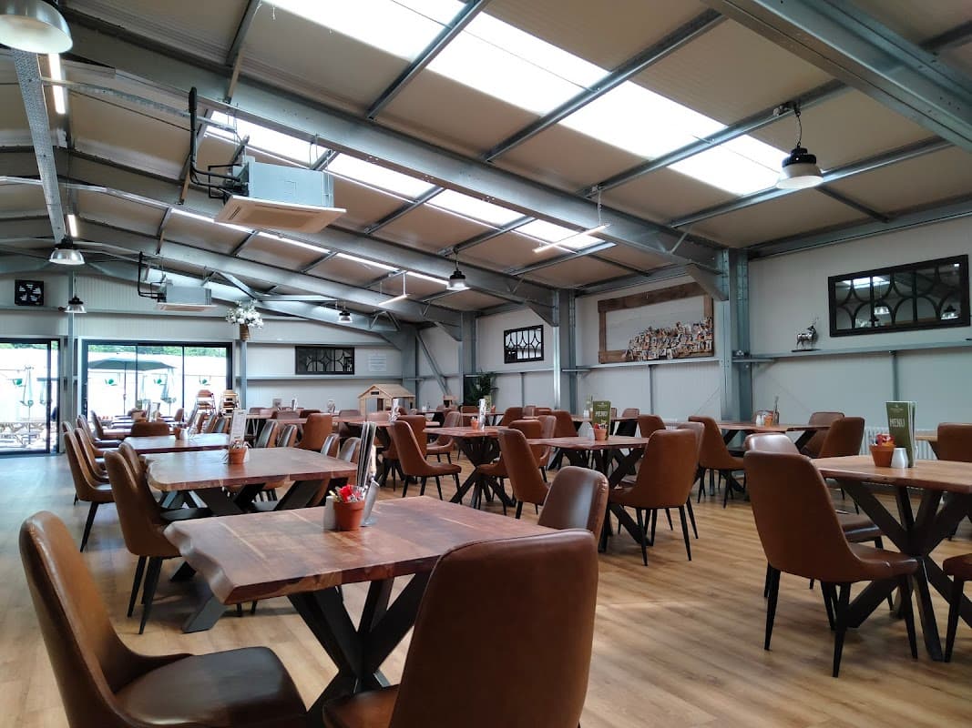 Cafe The Olive Tree at Tates in ripon