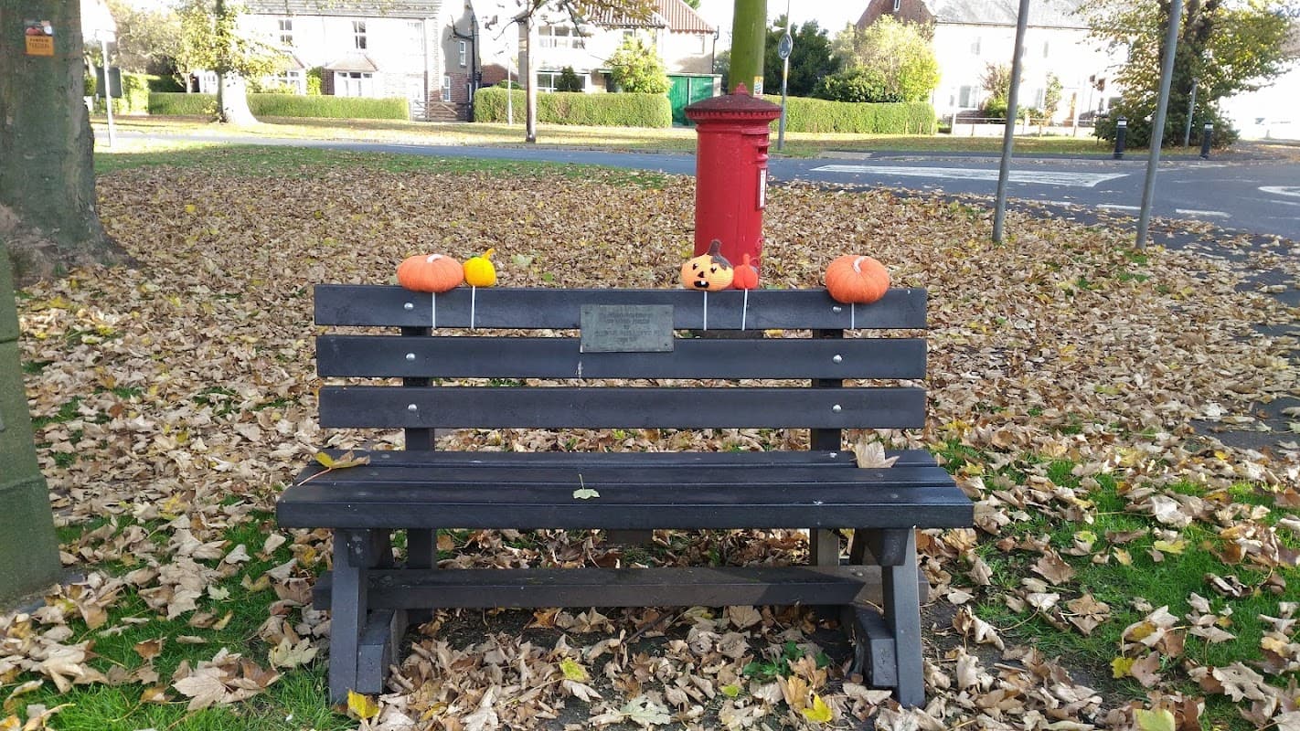 A bench surrounded by fallen leaves, adorned with pumpkins and toys, near a red post box in Romanby War Memorial Gardens.