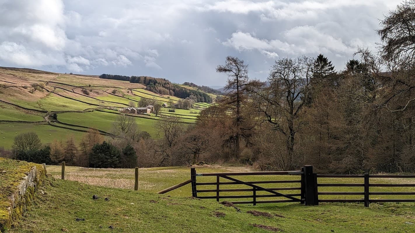 Lush green hills and fields surround a distant farm in Rosedale Abbey, under a cloudy sky with scattered trees.